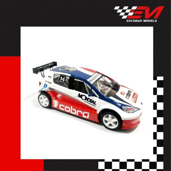 Ardusso Peugeot 307 - TC2000 - Image 2