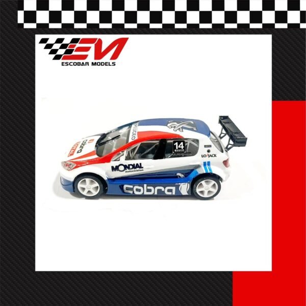 Ardusso Peugeot 307 - TC2000